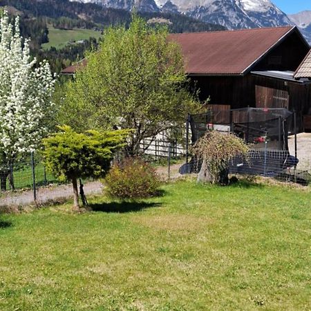 Appartement Winteraugut Werfen Eksteriør bilde