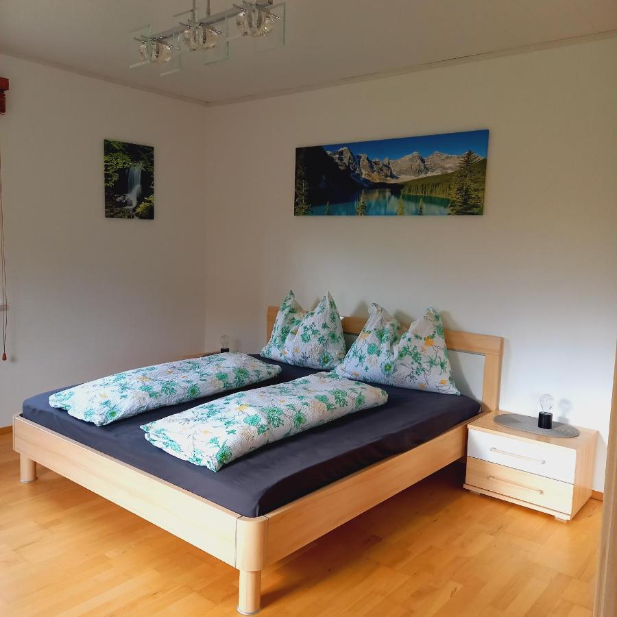Appartement Winteraugut Werfen Eksteriør bilde