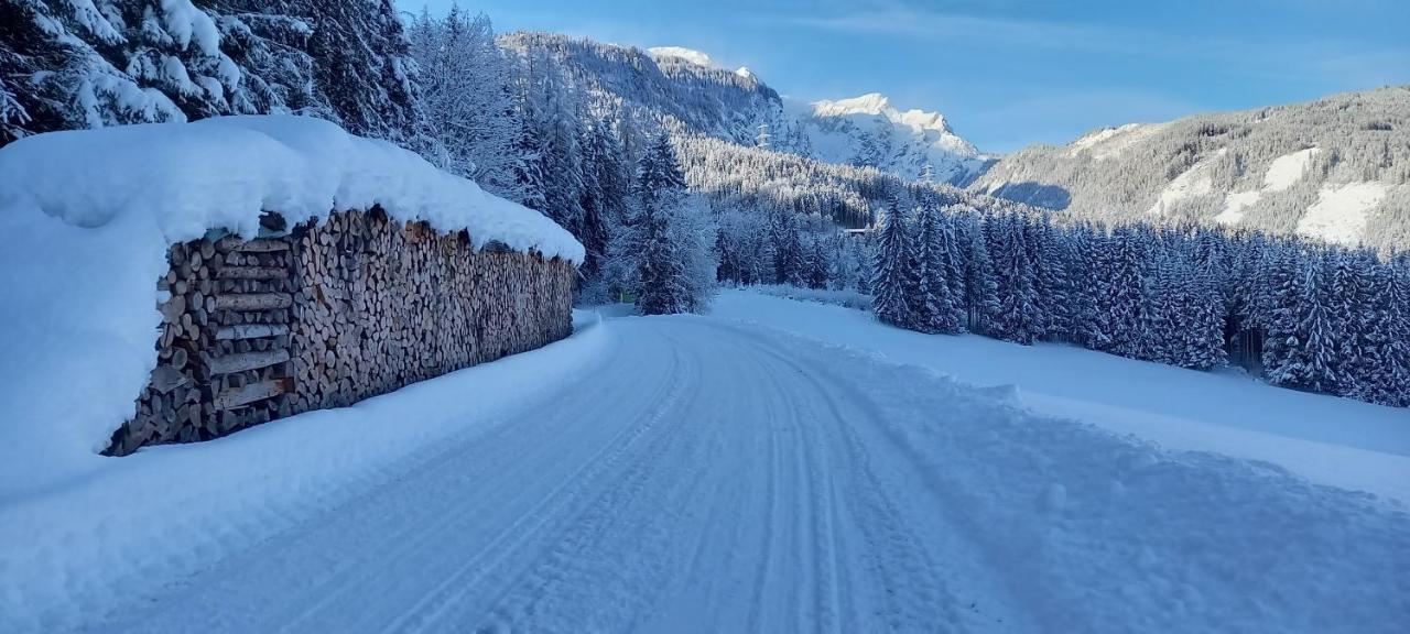 Appartement Winteraugut Werfen Eksteriør bilde